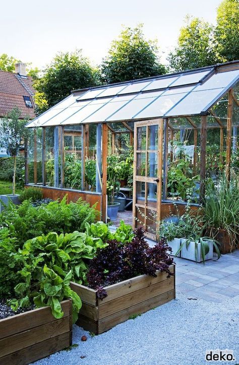 Working vegetable garden with greenhouse and wooden raised beds More Pergola Cover, Plants Growing, Backyard Greenhouse, Veg Garden, Garden Greenhouse, Have Inspiration, Greenhouse Gardening, Garden Bed, Garden Structures