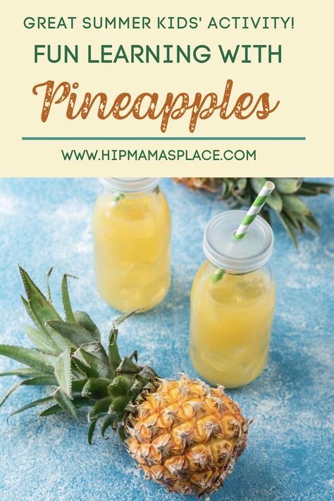 Say Aloha to fun learning with a pineapple! Read on to learn how pineapple can be used to teach your kids geography, history, nutrition, science and more! #pineapples #education #summerlearning #kids #funforkids #kidsactivities #teaching Pineapple Themed Bridal Shower Ideas, Pineapple Cake Pops, Pineapple Theme, Wedding Shower Themes, Mary's Bridal, Nutrition Science, Brown Spots Removal, Summer Learning, History For Kids