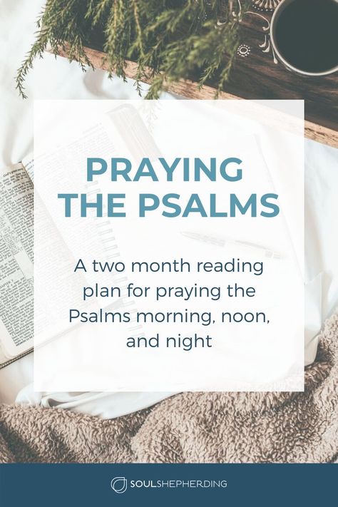 Each day — morning, noon, and night — I let the Psalmist lead me in meditation, prayer, and journaling. Wherever possible I’ve organized this schedule to fit my understanding of the ancient natural rhythms. I pray Psalms of submission or devotion in the morning and Psalms of reflection or confession in the evening. Psalms of thanksgiving and praise work well any time of day. Check out this free Bible reading plan to connect with God. #biblestudy #freechristianresources #devotions #scripturestudy Free Bible Reading Plan, Praying The Psalms, Thanksgiving Readings, Connect With God, Morning Noon And Night, Faith Is The Substance, The Psalms, Thanksgiving Prayer, Spiritual Formation