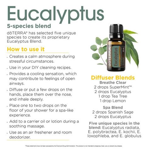 Flowering Evergreens, Eucalyptus Benefits, Eucalyptus Oil Benefits, Make Bath Salts, Diy Bath Oil, Cosmic Goddess, Bath Benefits, Fall Diffuser Blends, Lung Health