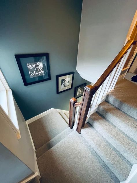 Stairs Feature Wall, Hall Stairs And Landing Decor, Hallway Wall Colors, Hallway Colour Schemes, Stairs And Hallway Ideas, Hallway Paint Colors, Stairs Colours, Blue Hallway, Entrance Hall Decor