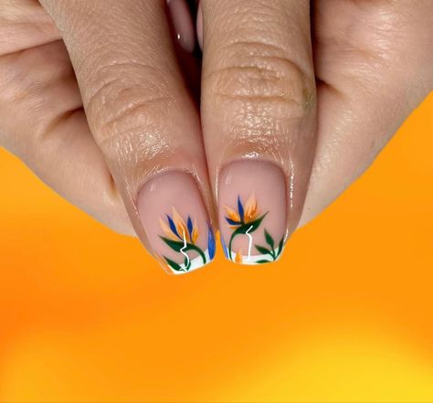 Birds Of Paradise Nail Art, Tropical French Manicure, Bird Of Paradise Nail Art, Tropical Wedding Nails For Bride, Birds Of Paradise Nails, Bird Of Paradise Nails, Tropical Leaf Nails, Tropical Wedding Nails, Palm Leaf Nails