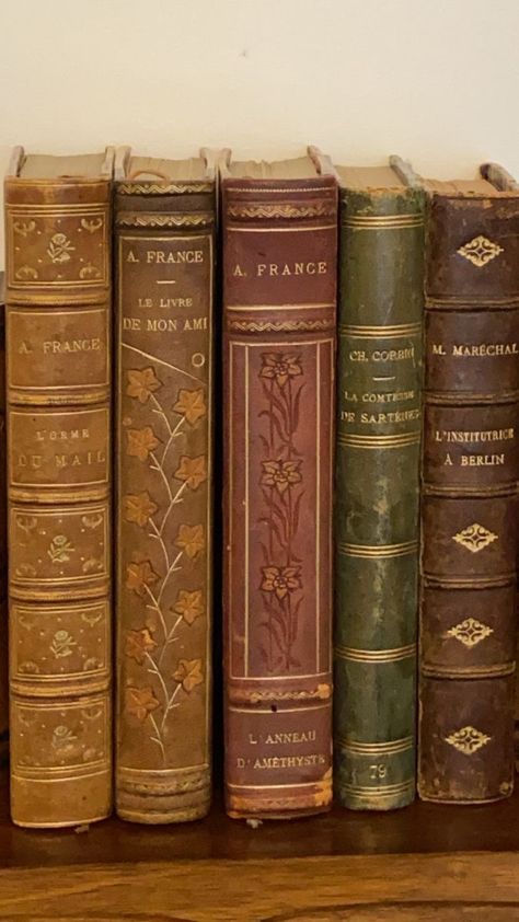 Old Vintage Books Aesthetic, Old Book Spines, Old Books Aesthetic, Stolen Valor, Vintage Leather Books, Stella Art, Vintage Book Cover, Victorian Books, Book Spine