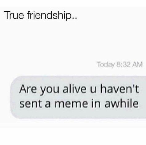 Friendship Goals Squad Goals Quotes, Friendship Goals Funny, Friendship Goals Quotes, Internet Friendship, Friendship Memes, Funny Friendship, Goals Quotes, I Need Friends, Friendship Humor