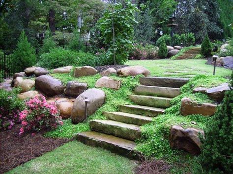 stairs for South side. Not sure about the green stuff.... Large Yard Landscaping, Sloped Backyard Landscaping, Large Backyard Landscaping, Sloped Yard, Sloped Backyard, Small Front Yard Landscaping, Garden Stairs, Landscaping Inspiration, Hillside Landscaping