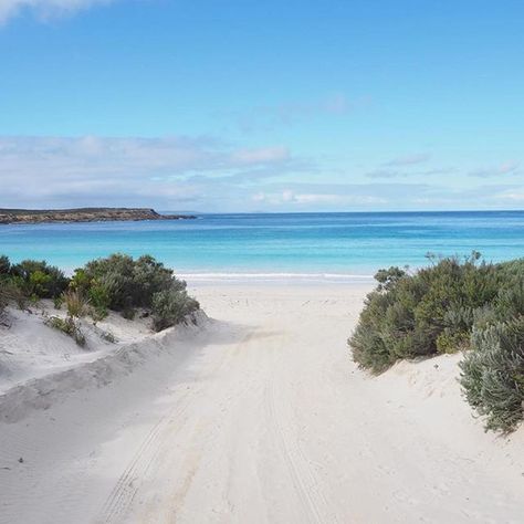 Port Lincoln South Australia, Australian Beaches, Port Lincoln, Australian Beach, Kangaroo Island, Caravan Park, Different Cultures, In The Desert, Stay The Night