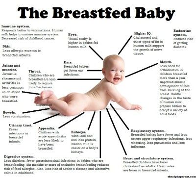 The Breastfed Baby Benefits Of Breastfeeding, Breastfeeding Benefits, Human Milk, Baby Poster, Baby Posters, Breastfed Baby, Foto Baby, Breastfeeding Tips, Baby Time