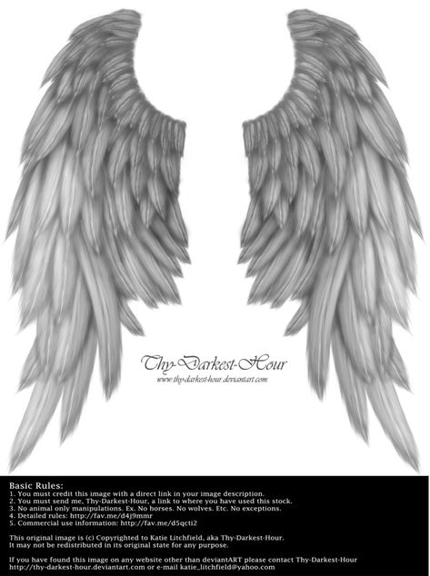 Angel Wings From Behind, Wings From Behind, Angel Of Fire, Back Tattoo Quotes, Wing Ideas, Angel Wings Tattoo On Back, Angel Wings Cosplay, Geometric Owl Tattoo, Fire Angel