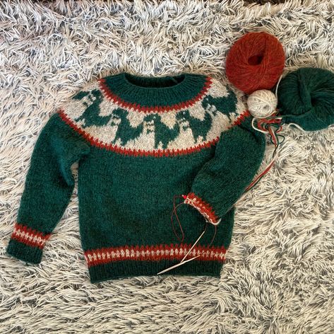 Dino Sweater, Star Wars Sweater, Dinosaur Sweater, Fair Isle Knitting Patterns, Dinosaur Pattern, Dinosaur Kids, Fair Isle Knitting, Winter Sweater, Tyrannosaurus Rex