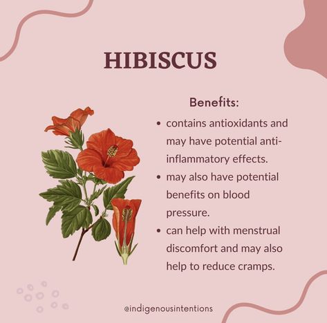 Benefits of Hibiscus Flower in Rose Kisses Herbal Blend Pre-Rolls Hibiscus Herb, Hibiscus Benefits Health, Hibiscus Flower Benefits, Hibiscus Benefits, Vitamin Rich Foods, Hibiscus Leaves, Menstrual Health, Natural Vitamins, Natural Health Remedies