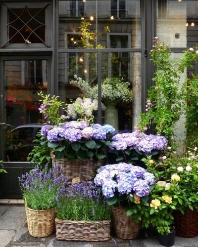 Big House, Garden Containers, France Paris, Garden Cottage, Balcony Garden, Small Gardens, Types Of Flowers, Container Plants, Front Garden