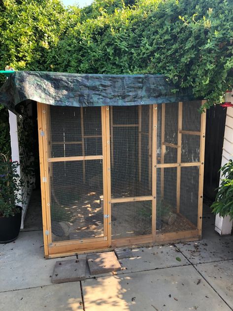 Diy Quail Aviary, Quail Aviary With Plants Diy, Quail Aviary Ideas, Quail Coop Plans, Rabbit Husbandry, Quail Aviary, Quail Care, Backyard Livestock, Rabbit Keeping