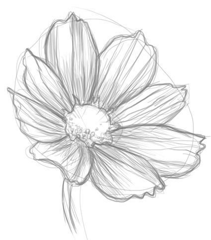 1000+ ideas about Flower Sketches on Pinterest | Doodle Ideas ... Ako Kresliť, How To Draw Flowers, Draw Flowers, Flower Drawing Tutorials, 그림 낙서, Seni 2d, Flower Sketches, Desenho Tattoo, Doodles Zentangles