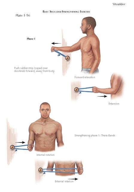 BASIC SHOULDER-STRENGTHENING EXERCISES Shoulder Health Exercise, Shoulder Strengthening Exercises, Shoulder Strengthening, Humerus Fracture, Shoulder Mobility Exercises, Shoulder Rehab Exercises, Rotator Cuff Exercises, Rotator Cuff Surgery, Shoulder Pain Exercises