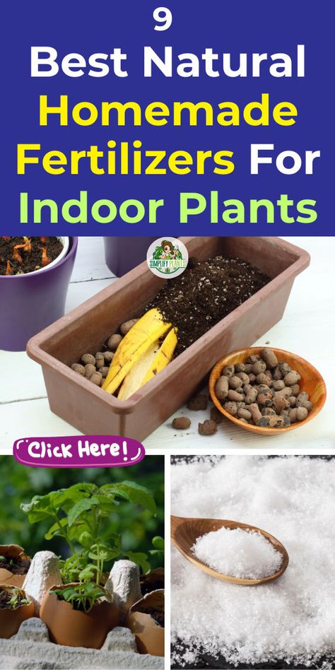 "Discover the 9 best homemade fertilizers for houseplants to boost growth naturally! Learn how to make effective natural plant fertilizer with easy DIY recipes. This guide covers everything from fertilizing indoor plants to creating your own indoor plant fertilizer homemade solutions. Explore natural indoor plant fertilizer options and find the perfect DIY plant food for indoor plants. Transform your indoor garden with these homemade houseplant fertilizer tips!" Diy Plant Food Houseplant, Diy Plant Food, Indoor Plant Fertilizer, Plant Food Diy, Homemade Plant Fertilizer, Houseplant Fertilizer, Homemade Plant Food, Homemade Fertilizer, Natural Plant Fertilizer