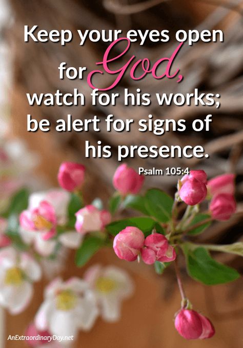 Quotes From The Bible, Psalms Quotes, Psalm 105, Lifting Quotes, Bible Quotes Images, Beautiful Bible Verses, Encouraging Scripture, Inspirational Quotes God, Bible Verses Quotes Inspirational