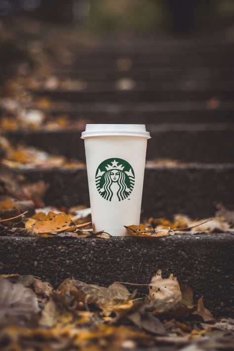 Starbucks Photography, Starbucks Autumn, Starbucks Background, Starbucks Party, Starbucks Wallpaper, Iphone Wallpaper Blur, Volleyball Wallpaper, Dark Academia Wallpaper, Coffee Starbucks