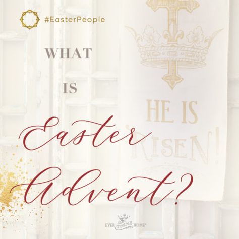 What is Easter Advent? Easter Advent, Easter Calendar, No Exit, Office Waiting Rooms, Resurrection Day, Easter Banner, Advent Season, March Month, Christmas Planning