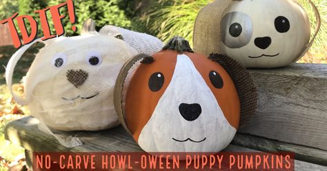 DIY No-Carve Howl-oween Puppy Pumpkins Puppy Pumpkin Painting, Puppy Pumpkin Carving, Dog Pumpkin Painting, Cow Pumpkin Painting, Traditional Pumpkin Carving, Pumpkin Animals, Puppy Pumpkin, Cow Pumpkin, Pumpkin Painting Party