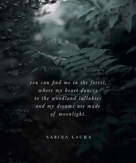 Forest Poetry, Grounding Meditation, New Poetry, My Moon And Stars, Moon Quotes, Soothing Quotes, Lost In The Woods, Nature Music, Poetry Collection