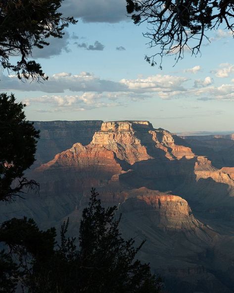 Planning a trip to the Grand Canyon? Stay at this bucket list safari-inspired glamping and experience the night sky like never before 🏕️🏔️✨✨ 📍Under Canvas Grand Canyon Park 📸: @undercanvasofficial #innspiringtravels #socialtravelblog Are you visiting the US this summer? Check out our website for beautiful places to stay 💙 For more travel content and authentic accommodations worldwide, follow us @innspiringtravels 💙 @innspiringtravels 💙 @innspiringtravels 💙 #USAhotels #UnderCanvas #Glampi... Travel Content, Travel Luxury, Unique Hotels, The Grand Canyon, Planning A Trip, Beautiful Hotels, The Night Sky, Luxury Hotels, Hotels Design