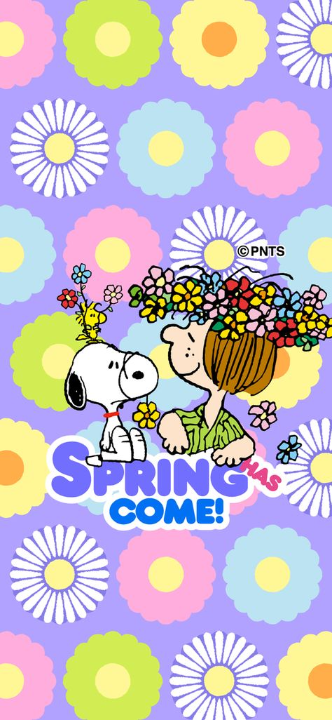 Spring has Come Peanuts Spring Wallpaper, Peanuts Spring, Happy Birthday Snoopy Images, Easter Beagle, Peanuts Wallpaper, Snoopy Images, Peanuts Characters, Snoopy Wallpaper, Snoopy Quotes