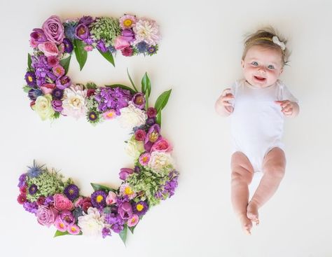 January Quotes, 5 Month Baby, 7 Month Old Baby, Pictures Flowers, Photos Flowers, Monthly Baby Pictures, Monthly Pictures, Baby Milestone Photos, Monthly Baby Photos