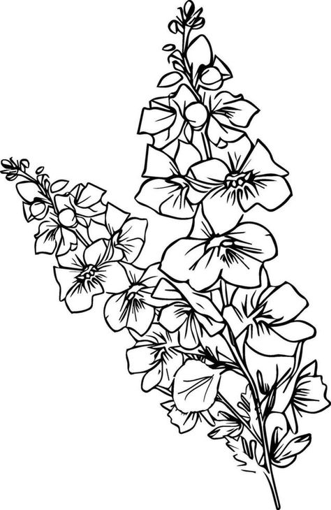 Black and white outline vector delphinium coloring book page for adults and children flowers delphinium with leaves buds hand-drawn larkspur flowers, jyly birth flower pencil art. Flower Pencil Art, July Birth Flower Tattoo, Corner Drawing, Larkspur Flowers, Black And White Outline, July Birth Flower, Larkspur Flower, Delphinium Flowers, Sweet Tattoos