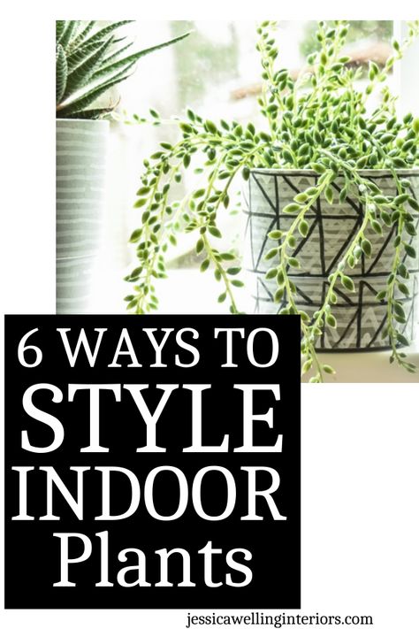 Indoor Plant Interior Design, Potted Plants Indoor Decoration, How To Style Plants In Bedroom, How To Group Indoor Plants Together, Plant Styling Indoor, Decorating With Plants Bedroom, Small Indoor Plants Decor, Hardy Indoor Plants, House Plants Indoor Decor Living Room