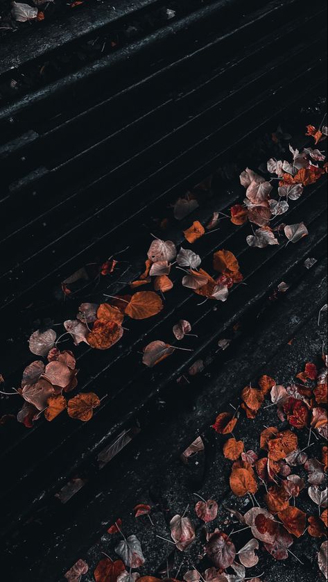 Aesthetic edits with Prequel and Lightroom apps Dark Autumn Phone Wallpaper, Dark Autumn Aesthetic Wallpaper Iphone, Dark Fall Asthetic Photos, Fall Aesthetic Dark, Gloomy Fall Aesthetic Wallpaper, Dark Fall, Dark Leaves Aesthetic, Leaf Man, Dark Autumn