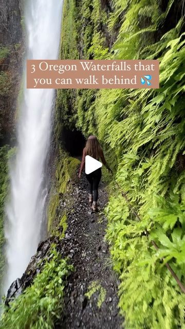 Nicole Pang 🌵 Solo Hiking + USA Travel + Vanlife on Instagram: "How many have you been to?

Video made in collab with @swelshy_ @caseyls7 
The Best Oregon Waterfall Hikes | Hikes Near Portland Oregon #oregon #waterfalls #portland #portlandoregon #Oregonhikes #oregonroadtrip #oregonitinerary" Hiking Near Portland Oregon, Oregon Waterfall Hikes, Hiking Usa, Solo Hiking, Oregon Trip, Oregon Hikes, Oregon Waterfalls, Oregon Road Trip, Waterfall Hikes