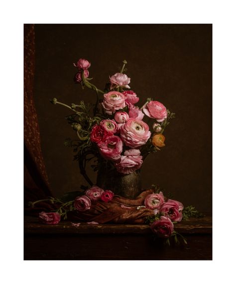 Red Still Life Photography, Ranunculus Photography, Ranunculus Painting, Ib Art, St Agnes, Artfully Walls, Floral Still Life, Artist Wall, Perfect House