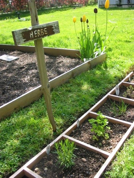 Herbs in a ladder garden.  Love the tulips in the corner of the bed. Ladder Garden, Old Wooden Ladders, A Ladder, Growing Herbs, The Secret Garden, Yard And Garden, Veggie Garden, Garden Stuff, Shade Garden