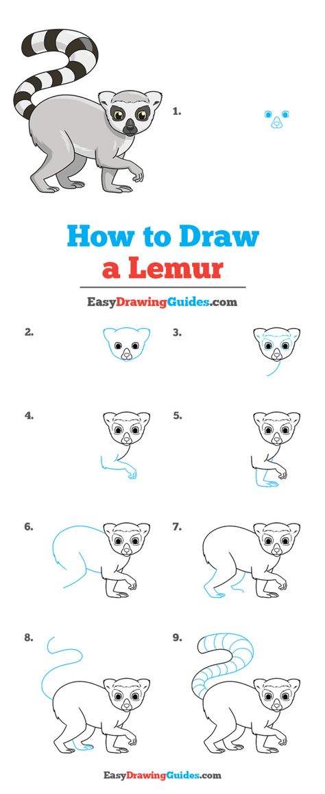 how to draw a lemur step by step tutorial image Lemur Craft, Lemur Tattoo, Lemur Drawing, Lemur Art, Zoo Ideas, Cartoon Drawings Of Animals, Fall Arts And Crafts, Easy Drawing Tutorial, Drawing Lesson