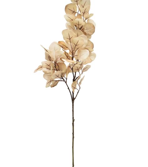 Decorate Your Home with the 34" Fall Cream Apple Leaf Stem by Bloom RoomAdd a touch of autumn to your home decor with the 34" Fall Cream Apple Leaf Stem by Bloom Room This beautiful stem features realistic apple leaves in a creamy color that will complement any fall - themed arrangement Measuring 7x65x34, this stem is made of materials including polyester, PE, and iron wire, ensuring it will last for seasons to come Product DetailsDimensions: 7x65x34Materials: Polyester, PE, Iron wireType: StemFeatures: Apple leaves Fall Leaves Decor, Fall Floral Stems, Apple Leaves, Fall Stems, Fall Stem, Creamy Color, Fall Floral Arrangements, Iron Wire, White Vases