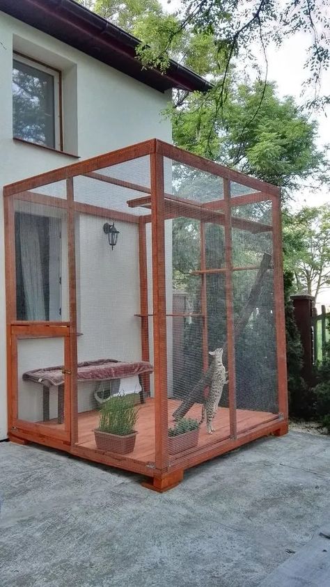 Cat Yard Enclosure, Cat House Design Outdoor, Cat Cages Outdoor, Cat Space Ideas, Catios Ideas For Cats, Catio Ideas Cat, Catio Cats, Kitten Room, Pet Patio