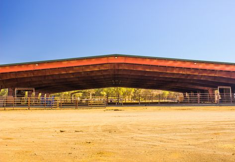 Covered Arena Ideas, Covered Riding Arena, Horse Barn Ideas Stables, Riding Arenas, Bleachers, Horse Barn, Horse Barns, Stables, Horses