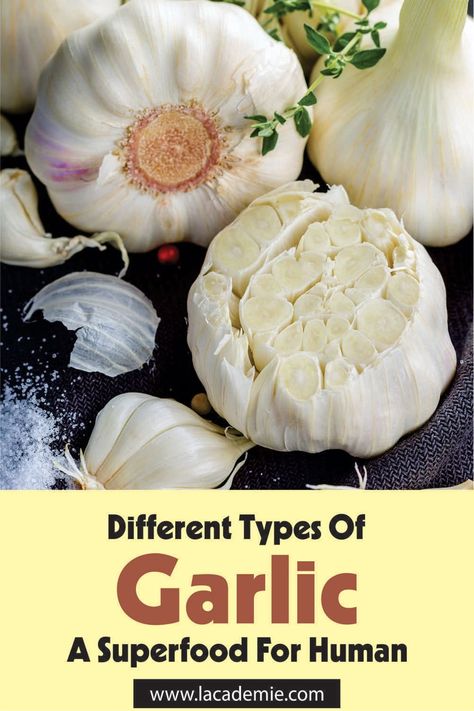 13 Different Types of Garlic: A Comprehensive Guide for 2024 Types Of Garlic, Hardneck Garlic, Harvesting Garlic, European Cuisine, Middle Eastern, Stir Fry, Cooking Tips, Different Types, Health Benefits