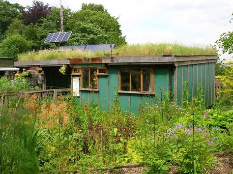 Walter Segal, Hedgehog House, Self Build Houses, Unusual Buildings, Dome House, Uk Images, Big Windows, Tiny House Cabin, Eco House