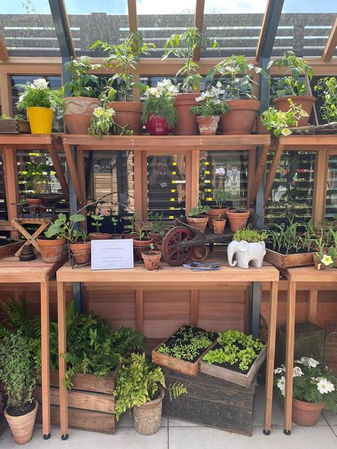 Gabriel Ash Greenhouses at RHS Chelsea Flower Show 2023 featuring seed trays, shelving and staging accessories. Greenhouse Staging, Greenhouse Heaters, Rhs Chelsea Flower Show, Cedar Planters, Gutter Guard, Wooden Greenhouses, Chelsea Flower, Chelsea Flower Show, Greenhouses