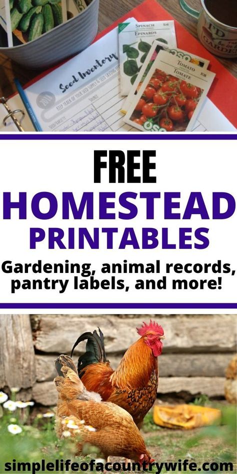 Homestead Management, Homestead Layout, Vegetable Garden Planner, Homesteading Diy, Farm Plans, Homestead Farm, Canning Labels, Homesteading Skills, Homestead Living