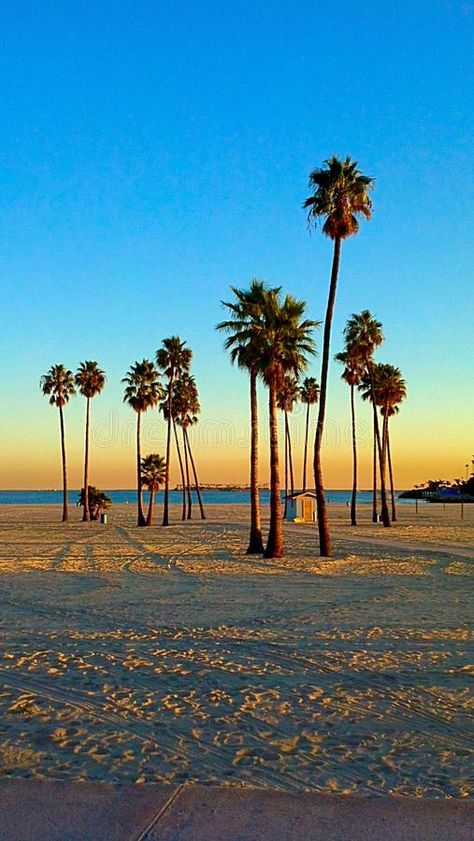 Long Beach. CA Cali California sunset afternoon evening dusk twilight Palm tree , #Aff, #evening, #afternoon, #dusk, #Palm, #twilight #ad Long Beach California Photography, California Pictures, American Dreams, California Palm Trees, 2024 Goals, Patterns Art, Beach Tattoo, California Sunset, Long Beach California