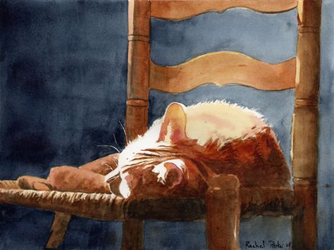 Orange tabby art print by rachelsstudio on Etsy Tabby Cat Art, Rachel Parker, Cats Artists, Great Cat, Cat Art Print, Columbia Sc, Watercolor Cat, Cat Photography, Arte Animal