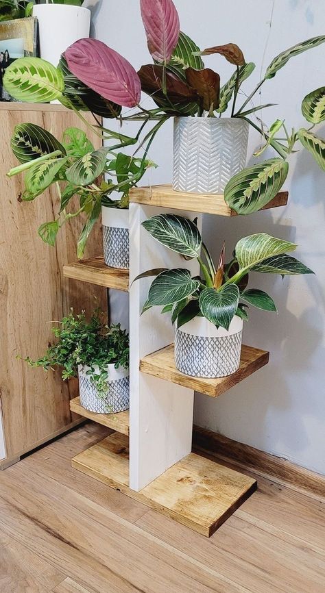 Looking for plants like this?!   
🤩🤩
Check out my housplant boutique! 👇🏾👇🏾
https://www.melaninandmeadows.com Flower Shelves Indoor, Cute Plant Stand, Wooden Flower Stand Design, Diy Tier Plant Stand, Wood Stand For Plants, Easy Diy Plant Stand Indoor, Plant Stands Diy Indoor How To Build, Wooden Stand For Plants, Pot Stands Indoor