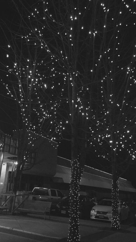 Fairy lights in trees #tree #blackandwhite #wallpaper #iphone Fairy Lights Wallpaper, Lights In Trees, Blackandwhite Wallpaper, Light Wallpapers, Fairy Lights In Trees, Lights Black, Lit Wallpaper, Hd Phone Wallpapers, Fairy Light