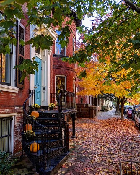 See more Georgetown Washington Dc, Washington Dc Travel, Enjoy The Day, Dc Travel, Autumn Scenes, Row House, Autumn Scenery, Sun Goes Down, City Living