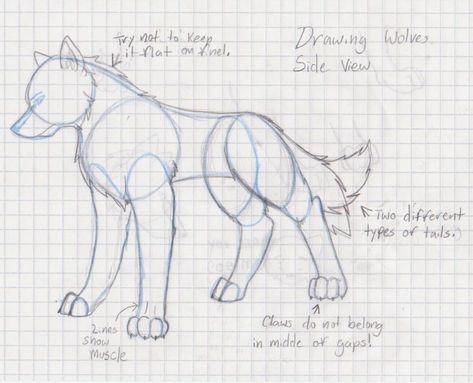 Drawing Wolves, Wolf Sketch, Wolf Eyes, Drawing Ideas List, Animal Drawings Sketches, Elephant Drawing, Drawing Eye, Wolf Drawing, Sketches Tutorial