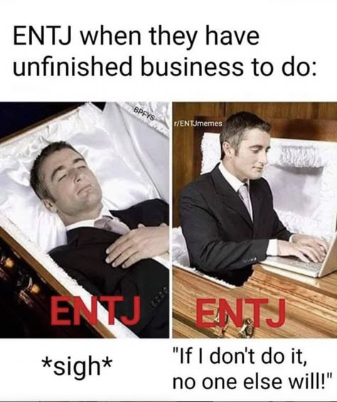 Entj Women, Entp Personality Type, Entj Personality, Types Of Psychology, The Memes, Mbti Relationships, Mbti Character, Most Beautiful Words, Mbti Personality