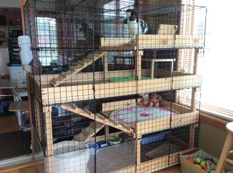 How to Build a Rabbit Condo: 13 Steps (with Pictures) - wikiHow Indoor Bunny House, Rabbit Playground, Diy Bunny Cage, Indoor Rabbit House, Diy Rabbit Cage, Indoor Rabbit Cage, Flemish Giant Rabbit, Diy Rabbit Hutch, Rabbit Enclosure