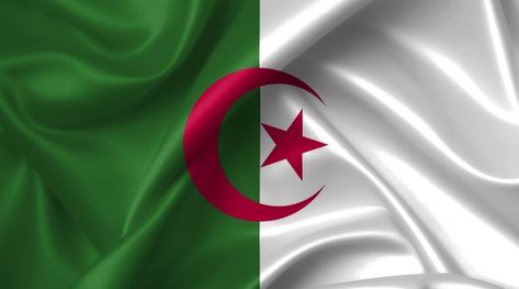 Algerian Flag, Flag Gif, Portuguese Flag, Algeria Flag, National Flags, Motion Graphics Inspiration, Flag Country, Flag Photo, Study Hard